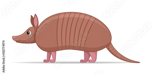Armadillo animal standing on a white background