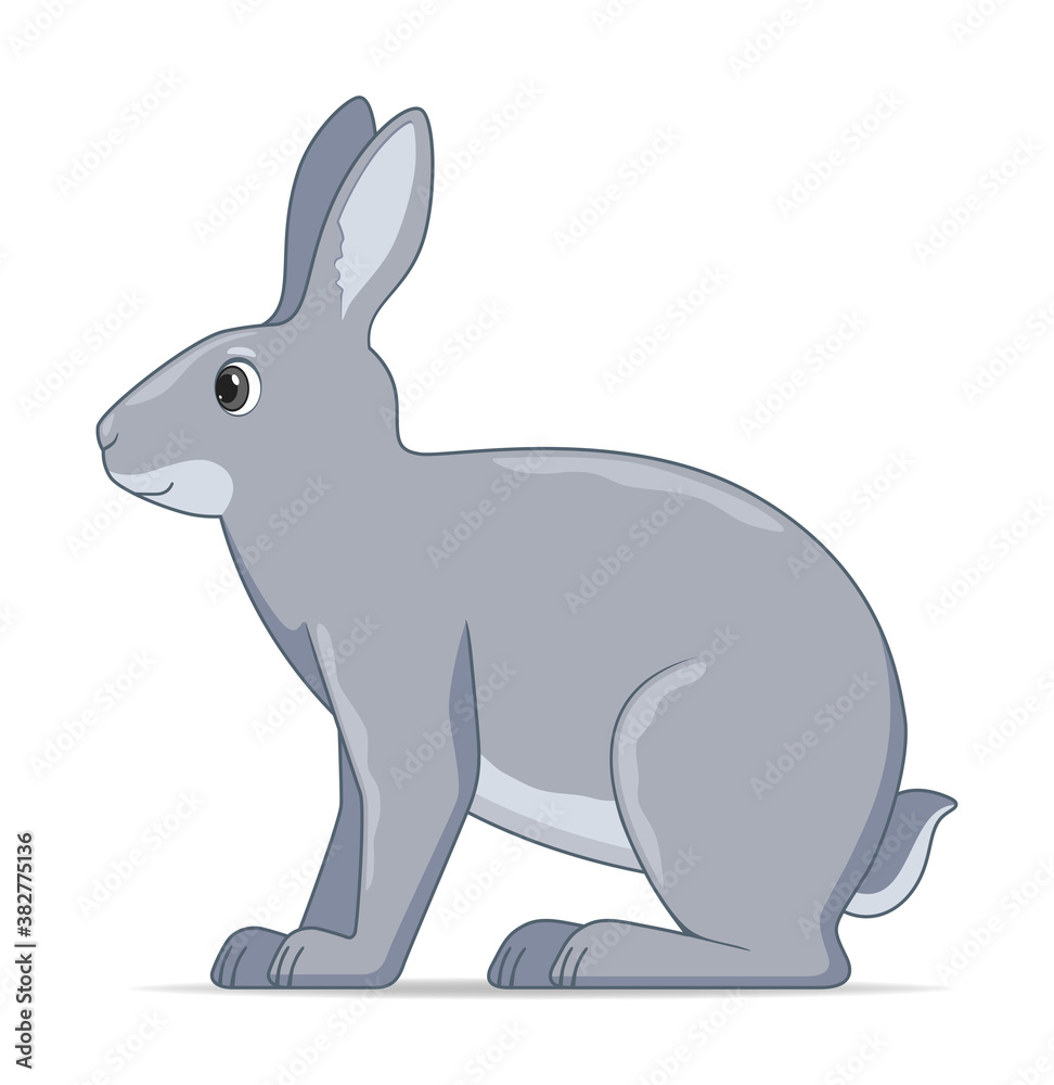 Obraz premium Hare sitting on a white background