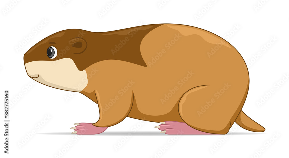 Fototapeta premium Lemming standing on a white background