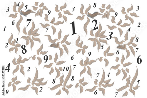 Numbers and watercolor flowers on white background 