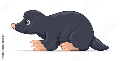Mole standing on a white background