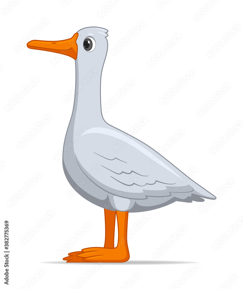 Fototapeta premium Goose bird on a white background