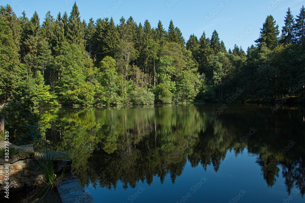 Pond on Pstruží potok near Mariánské Lázně,Plzeň Region,Czech Republic,Europe
