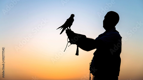 Falcon trainer silhouette in desert with sunset scenery, Dubai, UAE