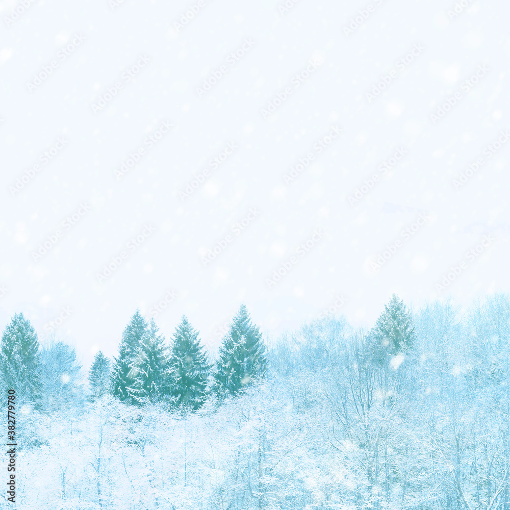Winter forest, snowfall, blue tones