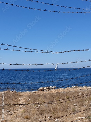 barbed wire fence