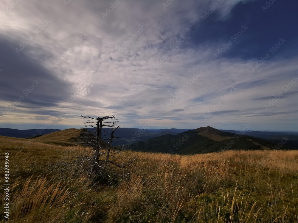 Obraz premium Bieszczady Poland. Carpathians European Mountains. Mountain trails in the Bieszczady Mountains. Autumn colors of the mountains. Cloudy sky.Mountains in autumn.