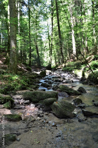 idyllischer Wanderweg