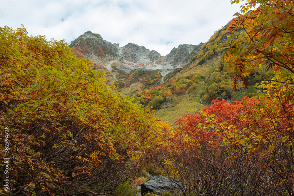 令和二年、日本一紅葉が美しい涸沢カールでシーズンインの紅葉風景を高解像度で撮影