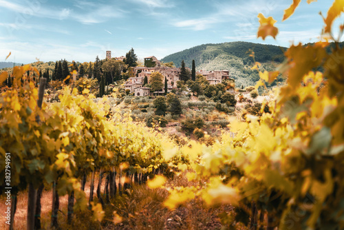 Tuscany, vineyards in autumn. Italy