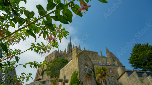 Wallpaper Mural Le mont saint michel, normandie, france  Torontodigital.ca