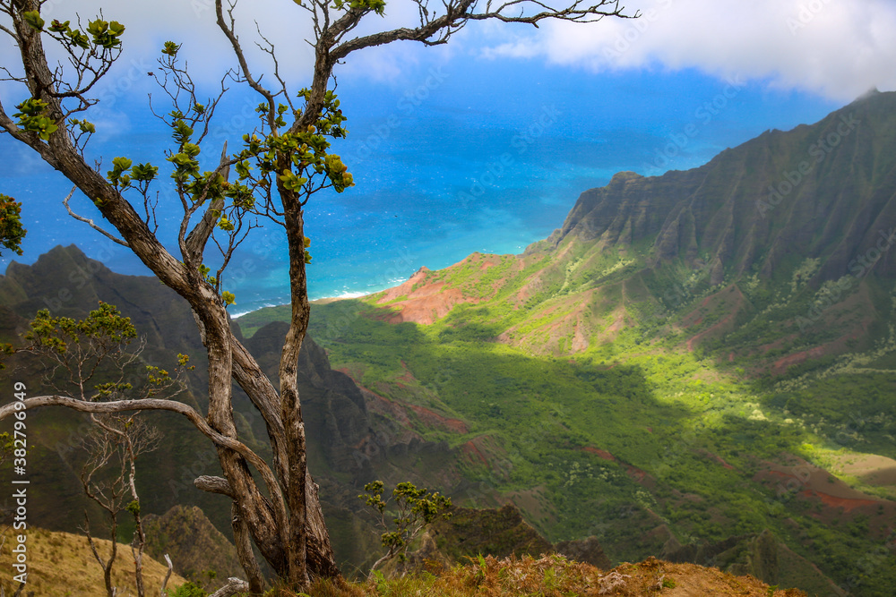 Kalalau Valley, Na Pali Coast State Wilderness Park, Kauai, Hawaii Kalalau Valley, Na Pali Coast State Wilderness Park, Kauai, Hawaii