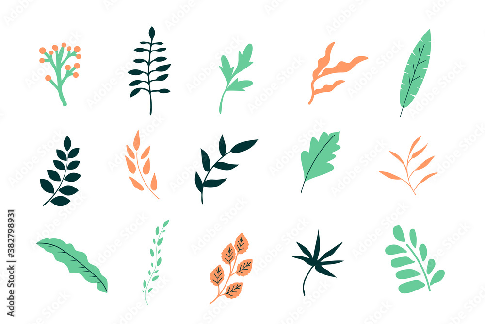 Simple vector leaves Simple vector leaves