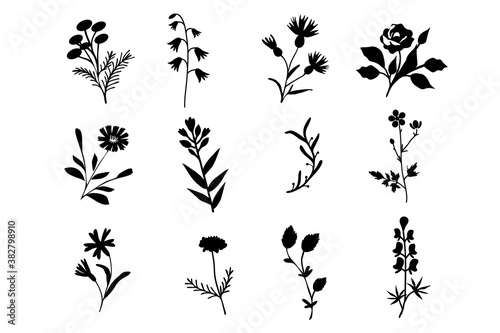 Obraz na plátne Isolated flowers set