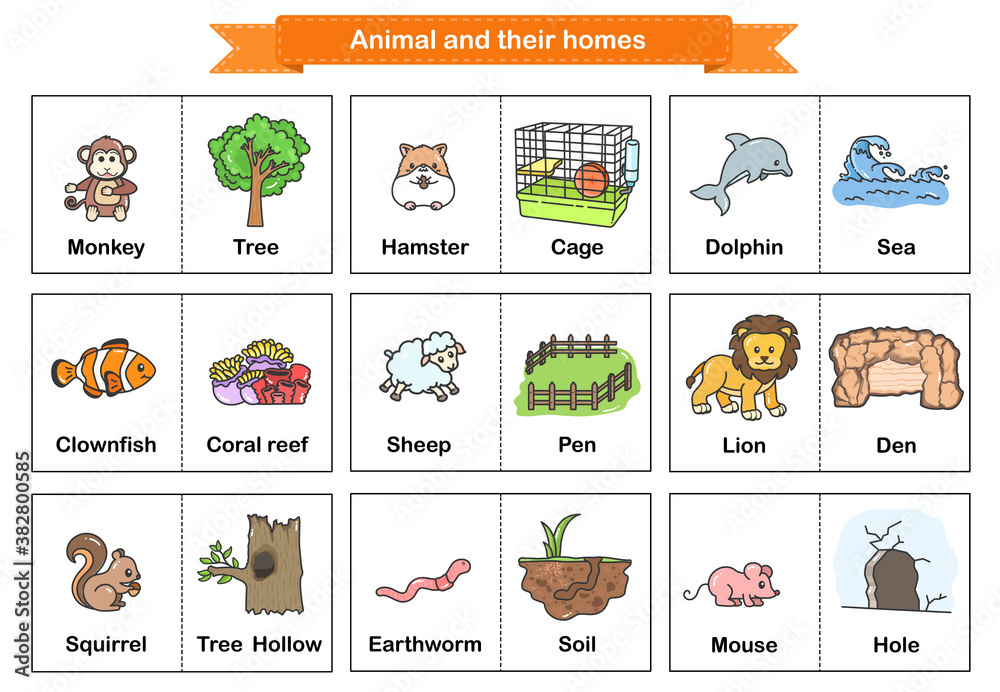 Animal and Their Homes Flash Cards. Printable flash card illustrating. -  Flashcards for education. Stock Vector | Adobe Stock