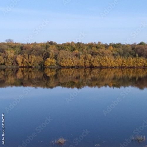 autumn trees reflected in water