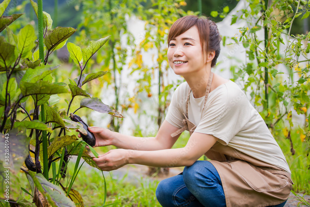 ナスを栽培する女性
ナスを栽培する女性