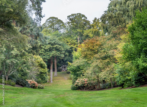 Virginia Water gardens view, September 2020. Surrey, England, UK. photo