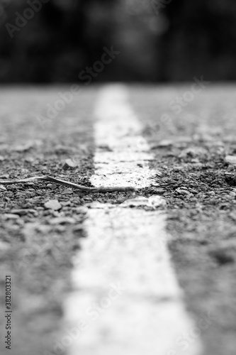 Close up and selective focus of starting white line of track in village of india.