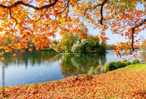 Gatchina park in autumn foliage, Russia
