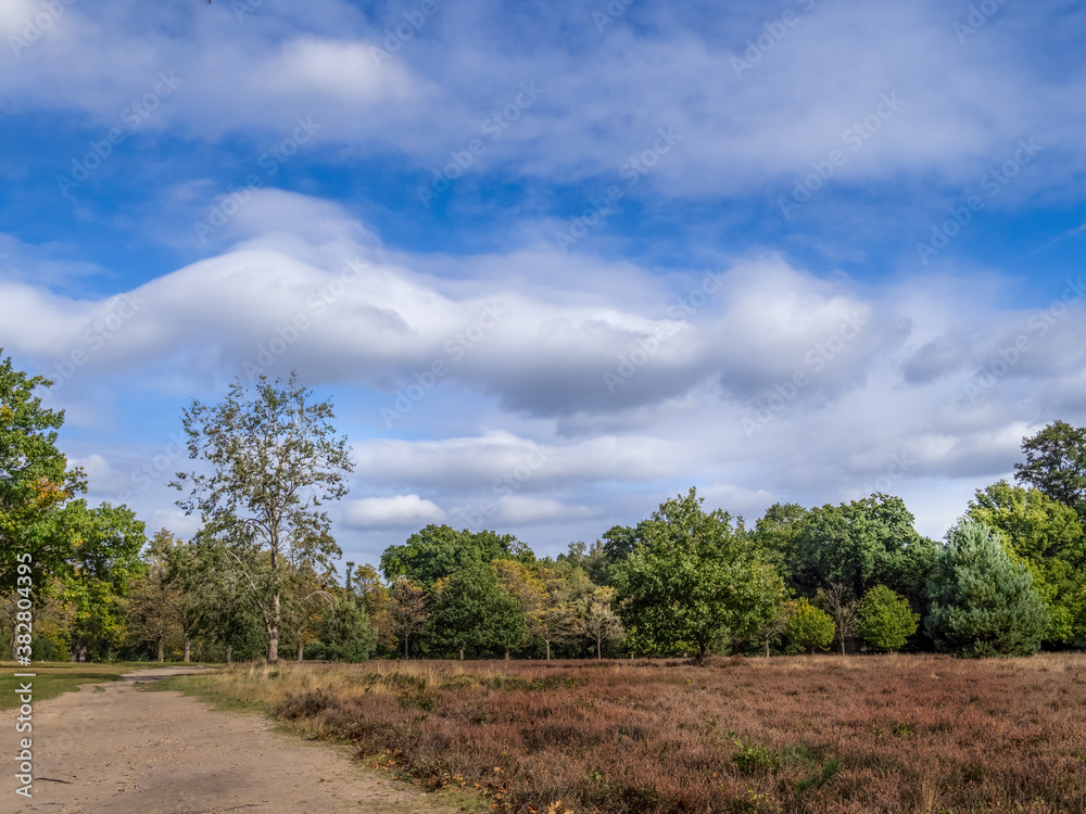 Landscape view near Virginia Water lake, reservoir. Surrey, England, UK. Landscape view near Virginia Water lake, reservoir. Surrey, England, UK.