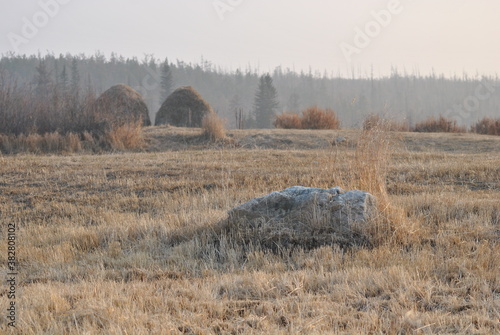 Fototapeta Naklejka Na Ścianę i Meble -  
haystack in the field