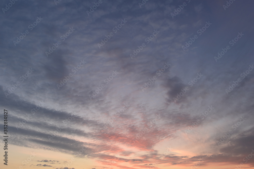 Soft colors pink with blue sky in cirrus clouds at dawn