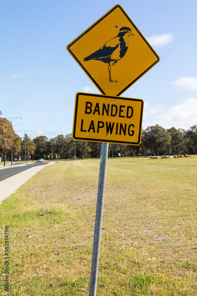Banded Lapwing Sign beside suburban road and parkland