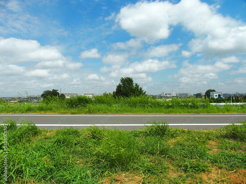 夏草生える江戸川土手のサイクリング道路風景 Stock Foto Adobe Stock