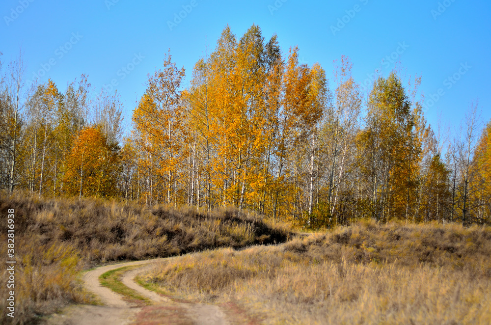 Meadow near the river Tsna in Tambov . Meadow near the river Tsna in Tambov .