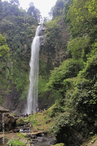 waterfall in the forest curug cimahi bandung