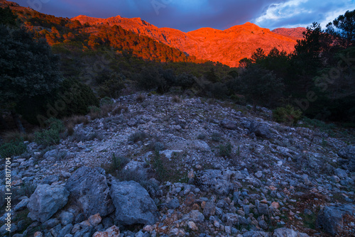 Sunset, Sierra de las Nieves National Park, Málaga, Andalusia, Spain, Europe