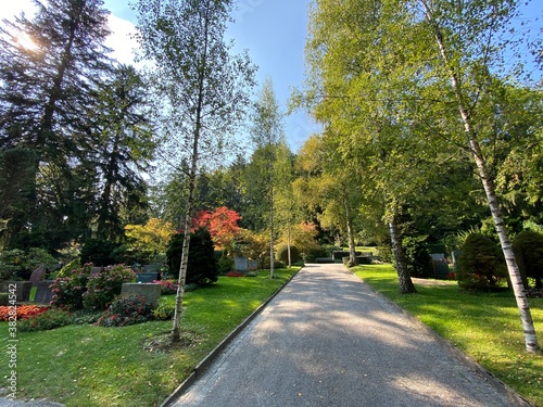 Park at the cemetery Fluntern or Graveyard / Der Friedhof Fluntern, Zürichberg (Zuerichberg) district - Zürich (Zuerich or Zurich), Switzerland / Schweiz photo