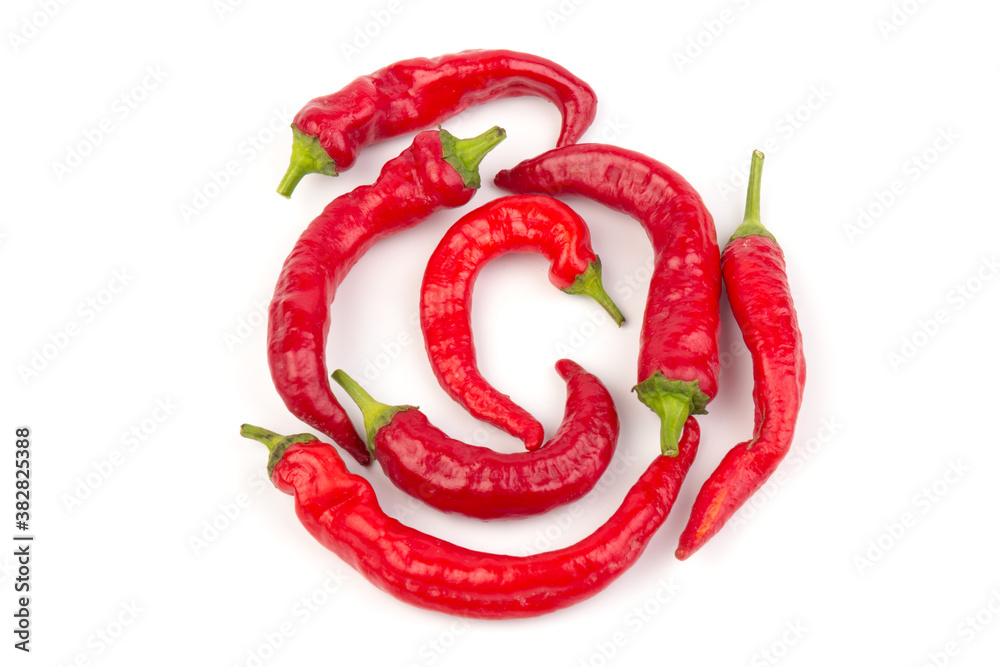 Fototapeta Red hot chili pepper isolated on white background. Close-up