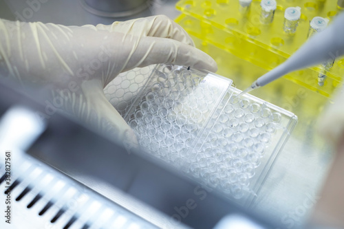 Researchers or chemists wear a glove holding 96 wells microplate, using a permanent marker and label numbers on the plate at a biosafety cabinet. Study and COVID 19 concept.