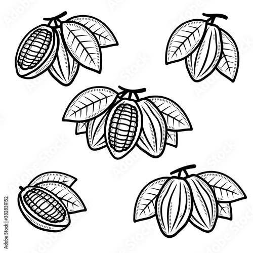 Cacao beans set. Collection cacao beans icons. Vector 