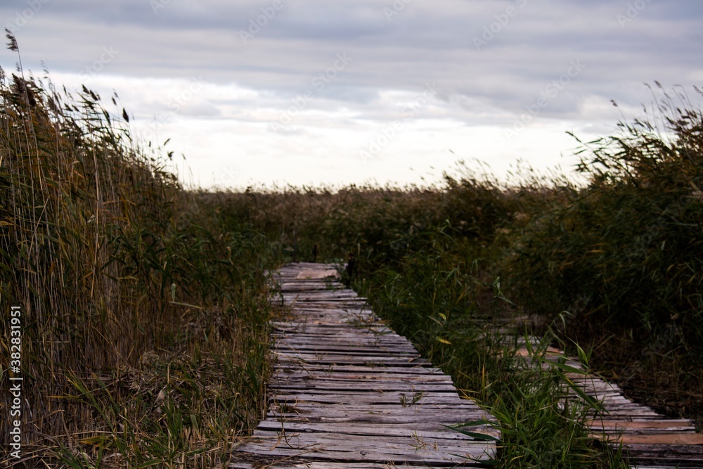 Fototapeta premium A bridge to the lake made of boards. Background for design.