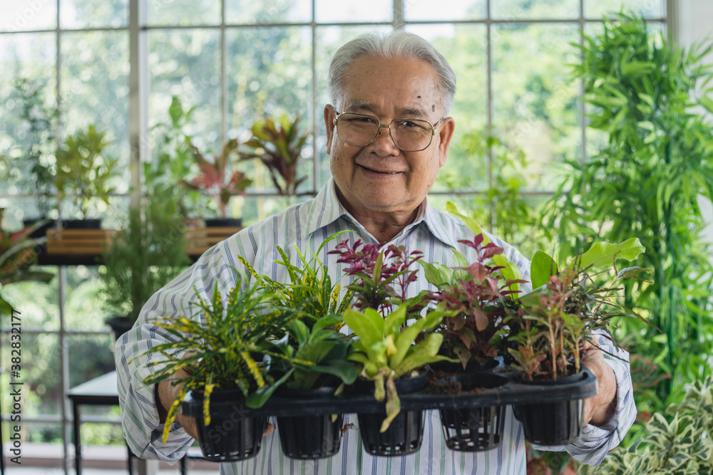 senior person holding potted plant senior person holding potted plant