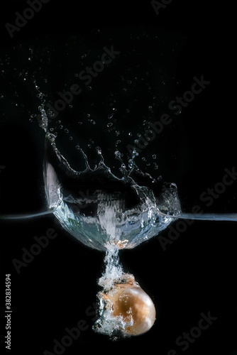 Onion immersed in water, on black background  © GlobalMedia