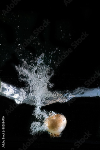Onion immersed in water, on black background 