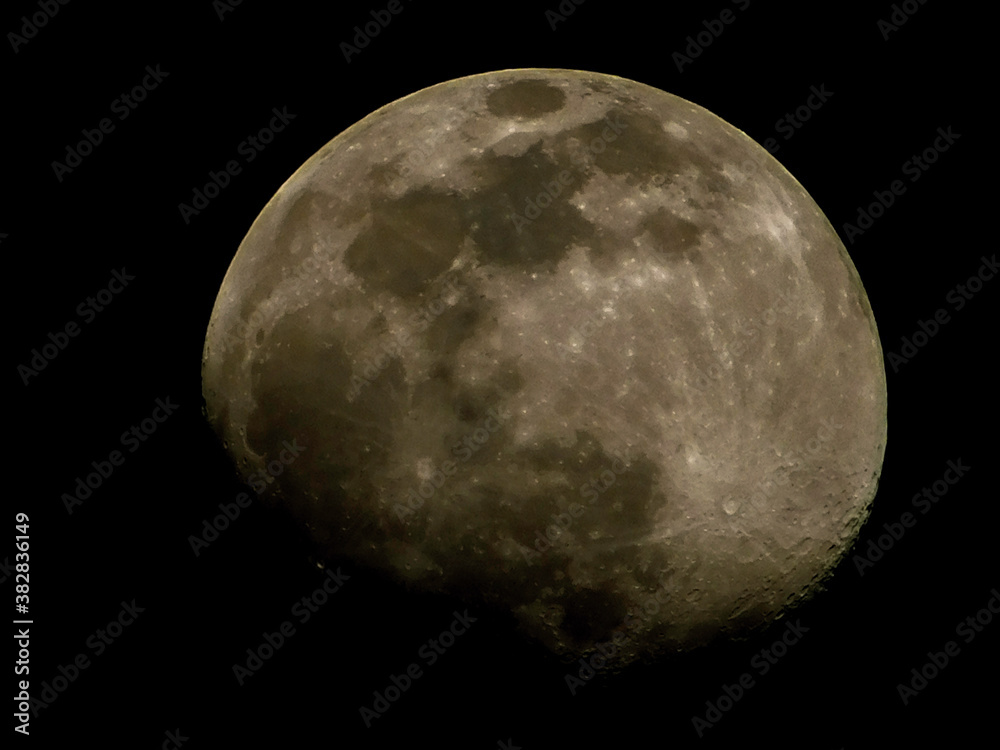 Fototapeta premium full moon in the night