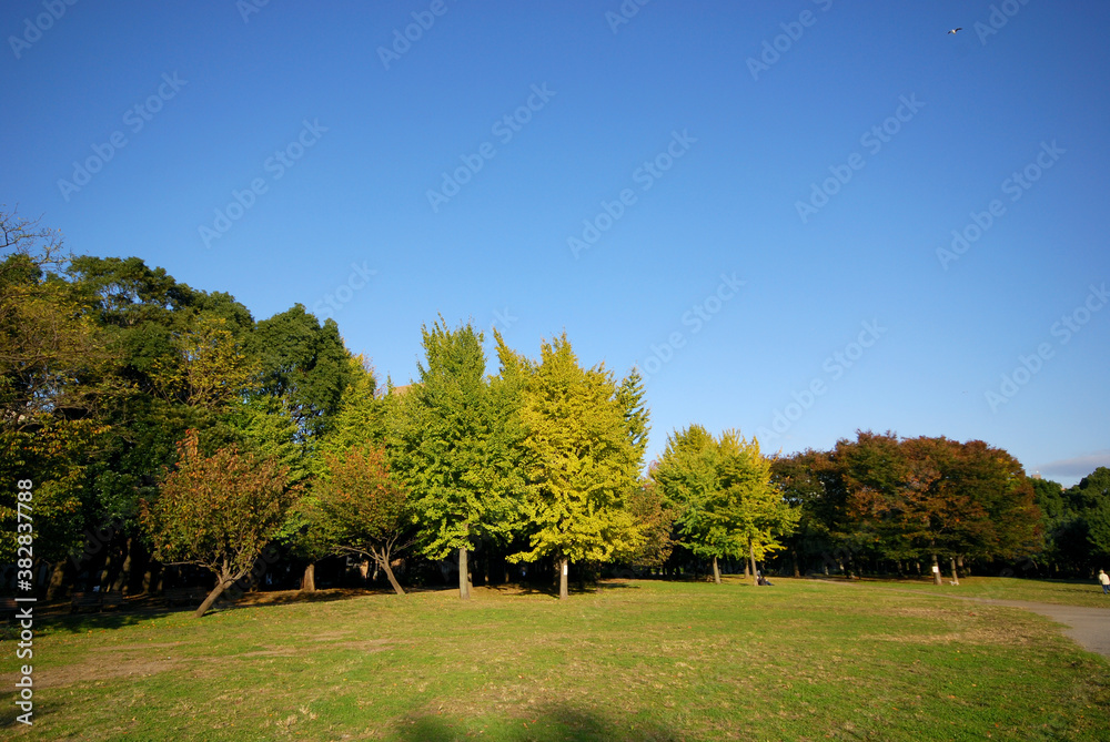 Fototapeta premium 清澄公園(東京都江東区清澄)