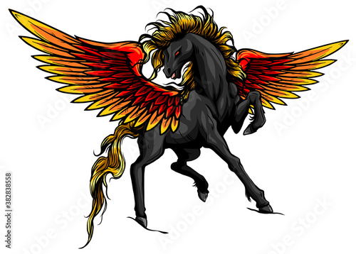 Pegasus. An illustration of the mythological horse Pegasus rearing up on its hind legs. vector