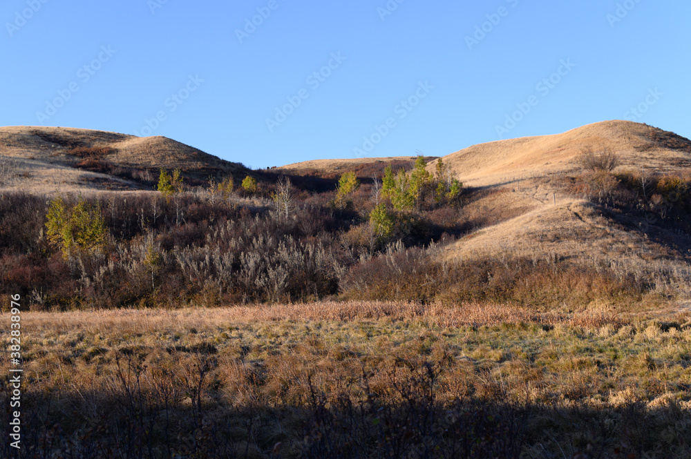 valleys and hills of an autumn landscape 