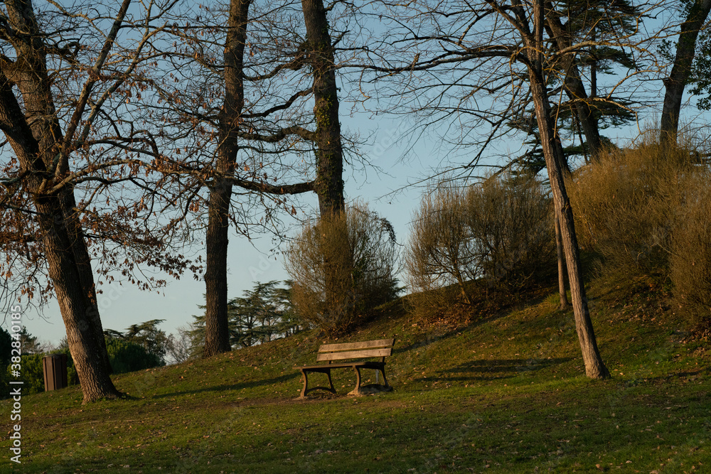 Bench in the middle of the park Bench in the middle of the park
