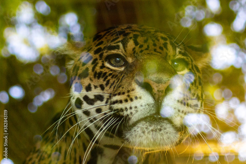 Bienvenue au Zoo Parc de Beauval photo