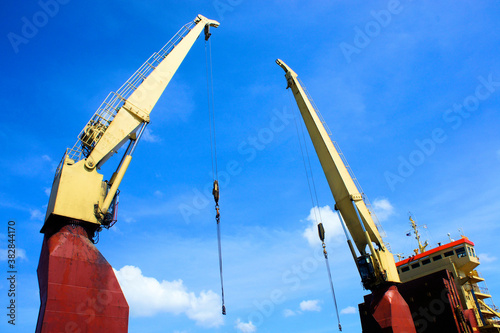 Huge port cranes are at work.