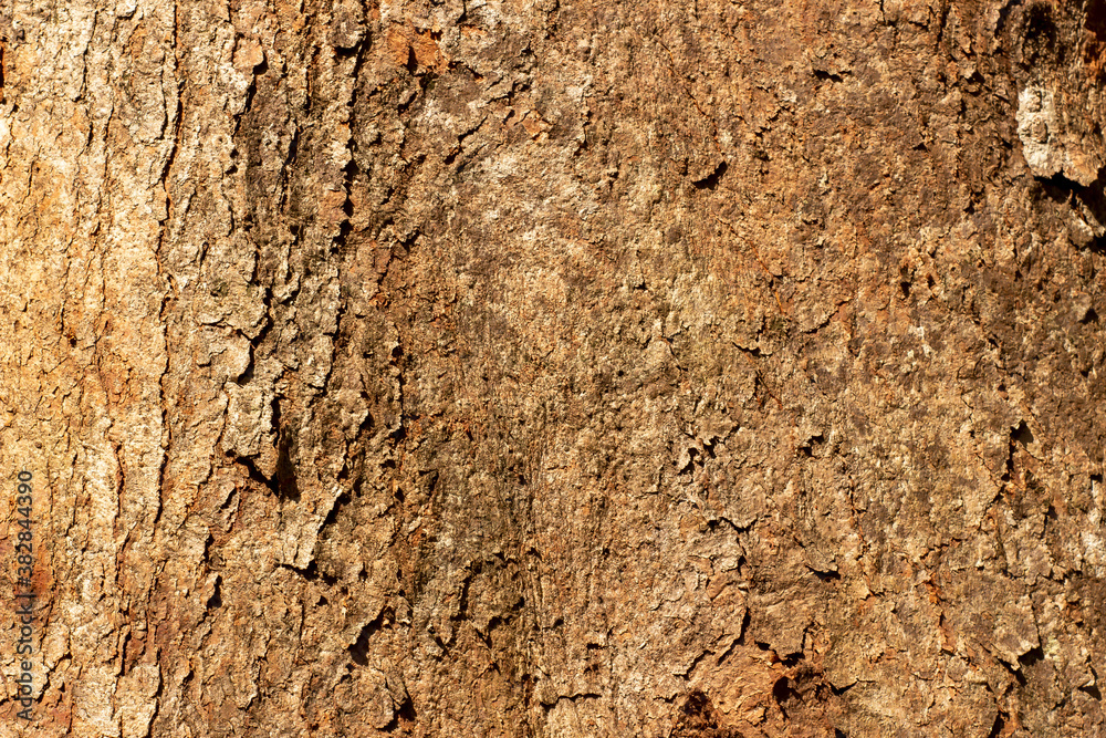 Old wooden texture background that has natural cracks Old wooden texture background that has natural cracks