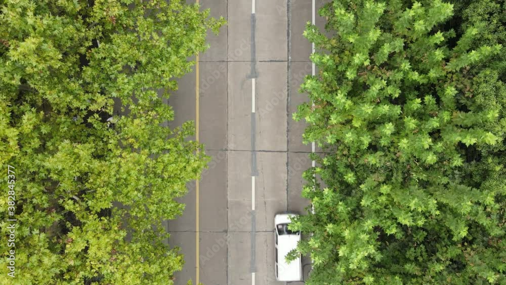 Drone aerial view of road with forest and trees along the road with few cars and passengers. The city street with road marks surround by green plants. Calm chill cozy B roll footage Shanghai China Drone aerial view of road with forest and trees along the road with few cars and passengers. The city street with road marks surround by green plants. Calm chill cozy B roll footage Shanghai China