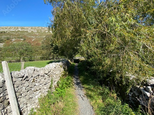 Narrow path, lined with dry stone walls, large old trees, next to fields, leading to, Hawkswick, Skipton, UK photo